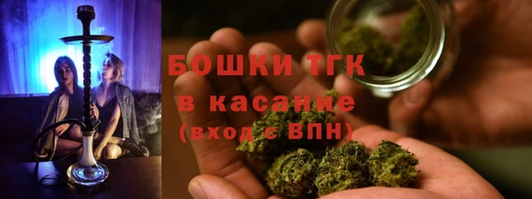 шишки Осташков