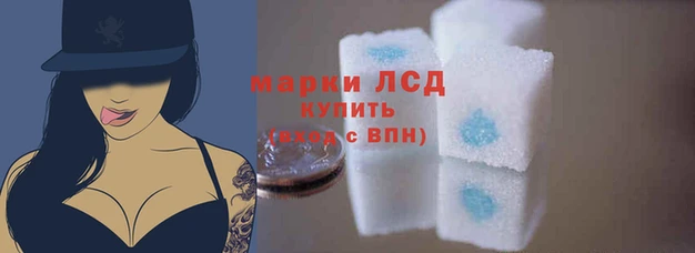 тгк Алзамай