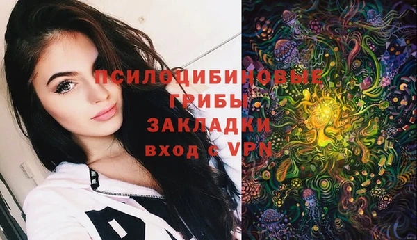 тгк Алзамай
