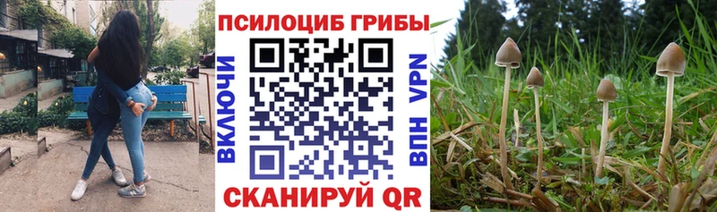 MEGA ONION  это Telegram  Галлюциногенные грибы Cubensis  магазин продажи наркотиков  Салехард 
